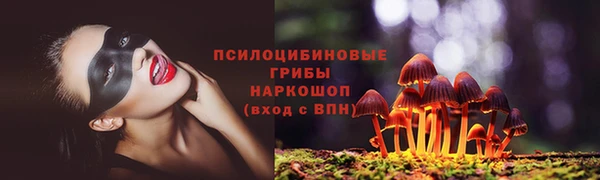 гидра Алзамай